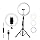 nine16-loop-13-ring
