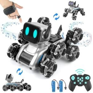 Avarin Robot Dog, 2.4Ghz Remote Control Dog Stunt RC Cars with Music & Light, 2 Models RC Robot Dog with 2 Rechargeable Batteries, Birthday for Kids 6 7 8 9 10 11 12 Years Old