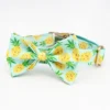 collar-bow