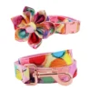 collar-flower-leash