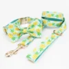 collar-bow-leash
