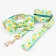 customized-personalized-pineapple-dog-collar-bowtie-and-leash-set-featured.webp