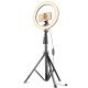 ddlc-led-ring-light-with-7-feet-tripod-stand-for-mobile-phones-camera-3-temperature-mode-dimmable-lighting-photo-shoot-video-shoot-makeup-more-featured.jpg
